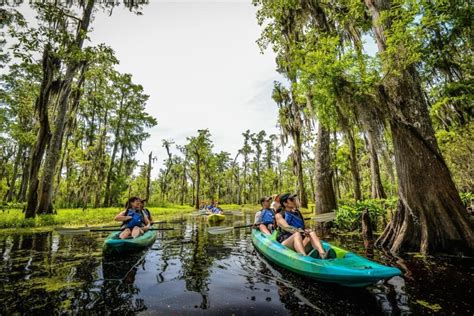 Experience the Serenity and Magic of Manchac on a Kayak